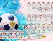 24VS体育直播-费伦茨瓦罗斯队在欧冠的战绩回顾