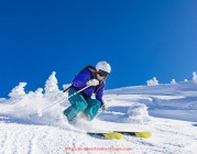 24VS体育直播-球员发挥波动有多大？世俱杯年度表现幅度统计